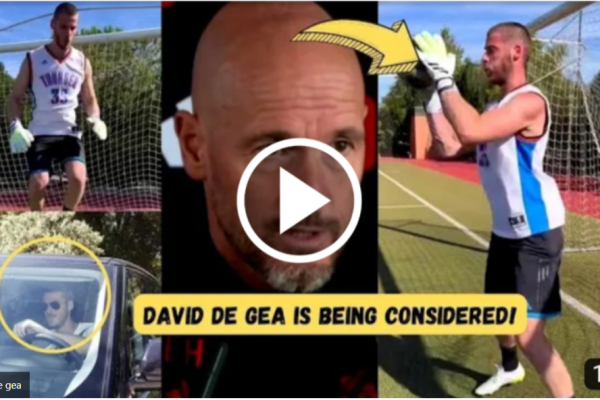 One requirement has been met, two remain - Man United fans are eager to welcome De Gea back to Carrington after a major task has been completed